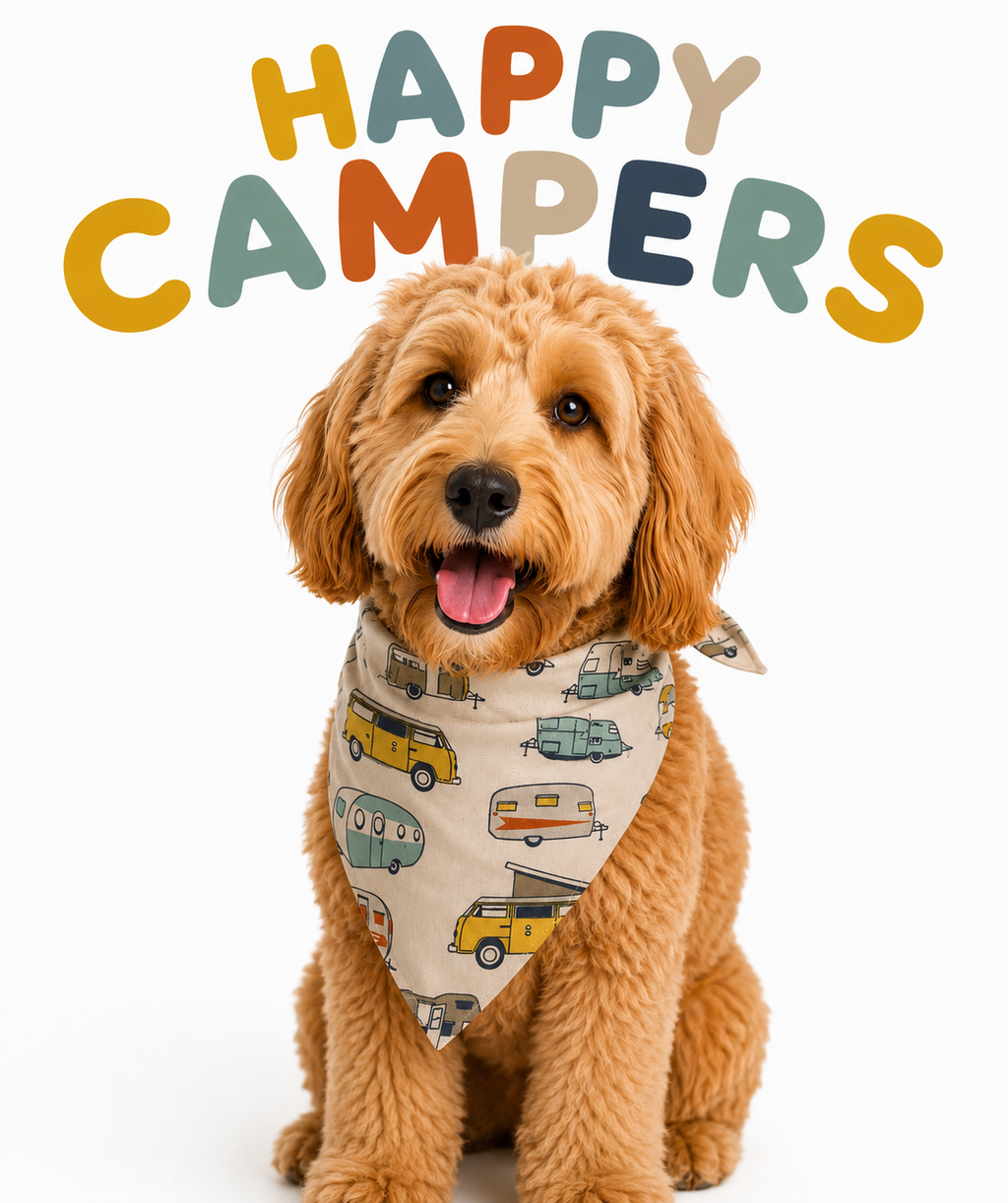 Happy Campers